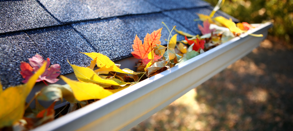 gutter cleaning, gutter washing, raleigh, cary, nc